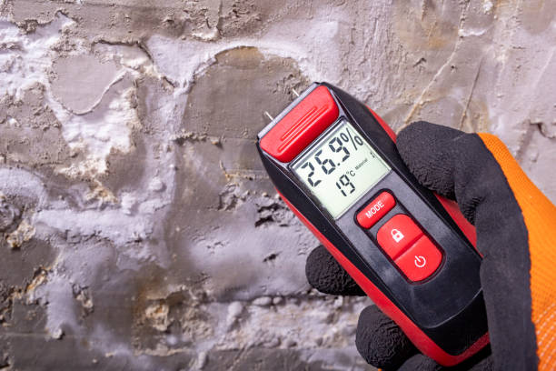 Mold Testing and Removal in Woodstock, IL