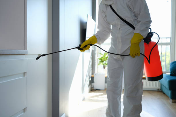 Best Mold Testing  in Woodstock, IL